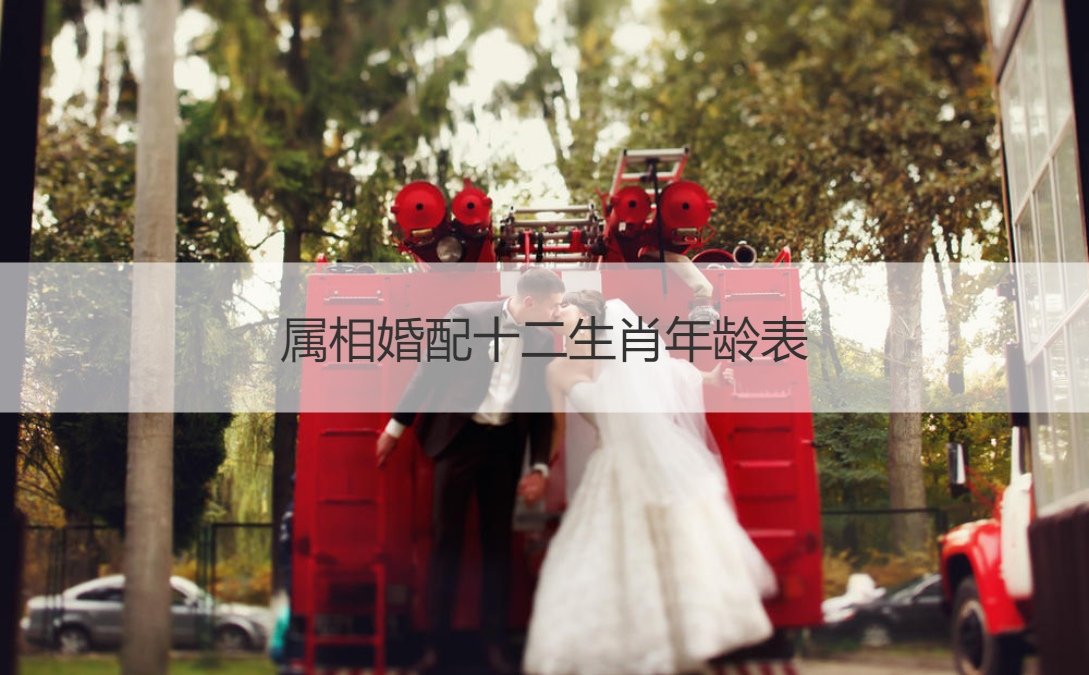 属相婚配十二生肖年龄表